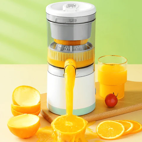 Portable fruit on sale juicer price